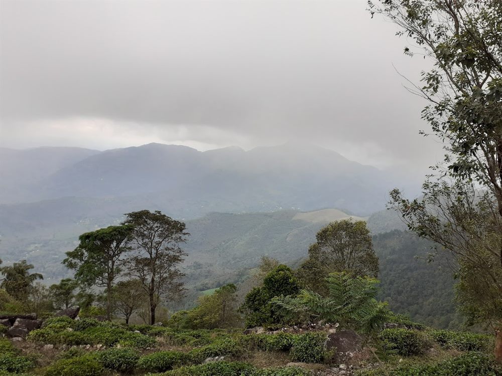 Misty Urumbikkara hills, photo shared by guest Sai Sankar Kalyan